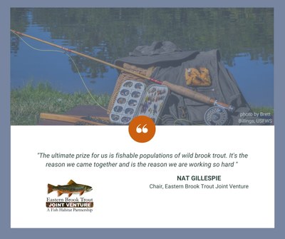 Nat Gillespie quote