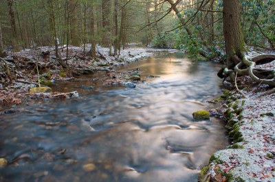 A photo of a stream in Cherry Run Game Lands, PA
