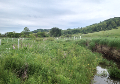 NRCS Conservation Reserve Enhancement Program (CREP)