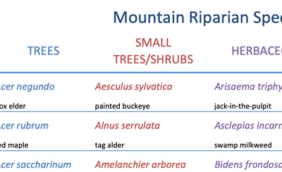 Riparian Vegetation (NC)